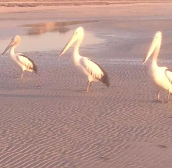 Aamiaismajoitus (B&B) Perlubie Sea