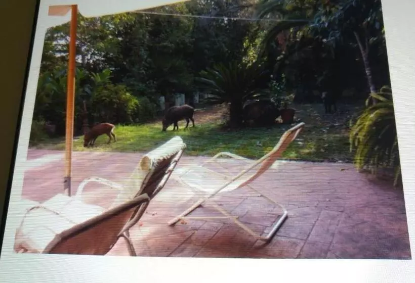 ホテル Giardino Degli Ulivi