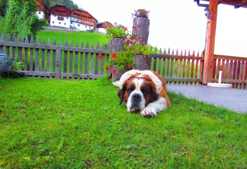 Hotelli Pension Odles