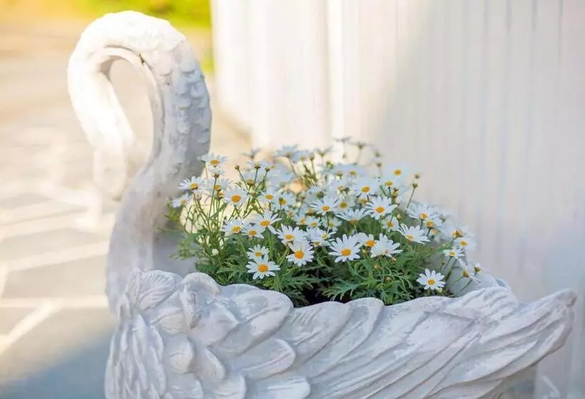 Majatalo Sakrisøy Gjestegård   Manor House In Sakrisøy   Solbakken Anno 1880