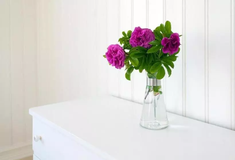 Majatalo Sakrisøy Gjestegård   Manor House In Sakrisøy   Solbakken Anno 1880