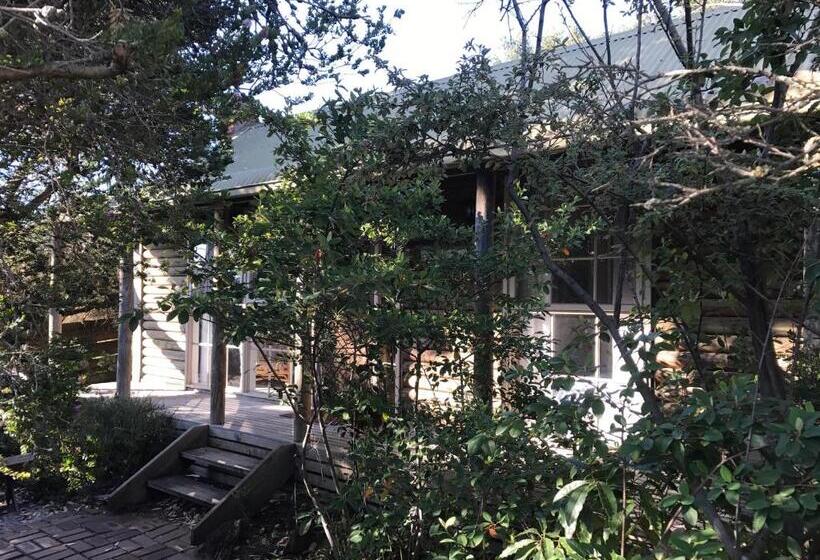 אתר נופש Ti Tree Village