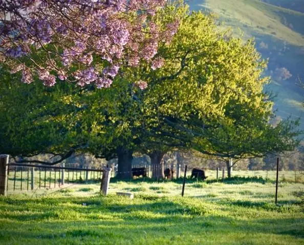 ホテル Alexandra Farmstay