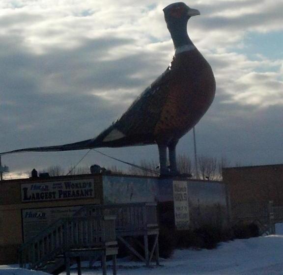 ホテル Dakota Inn