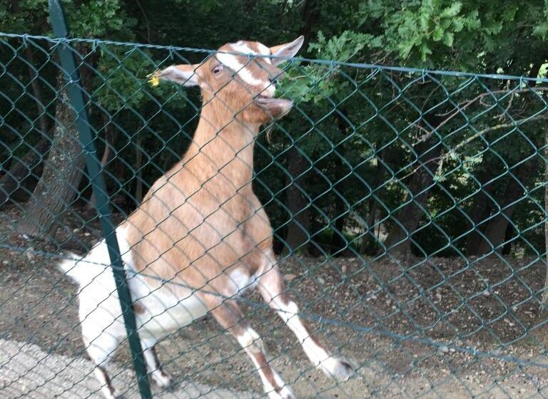 호텔 Podere Casanova