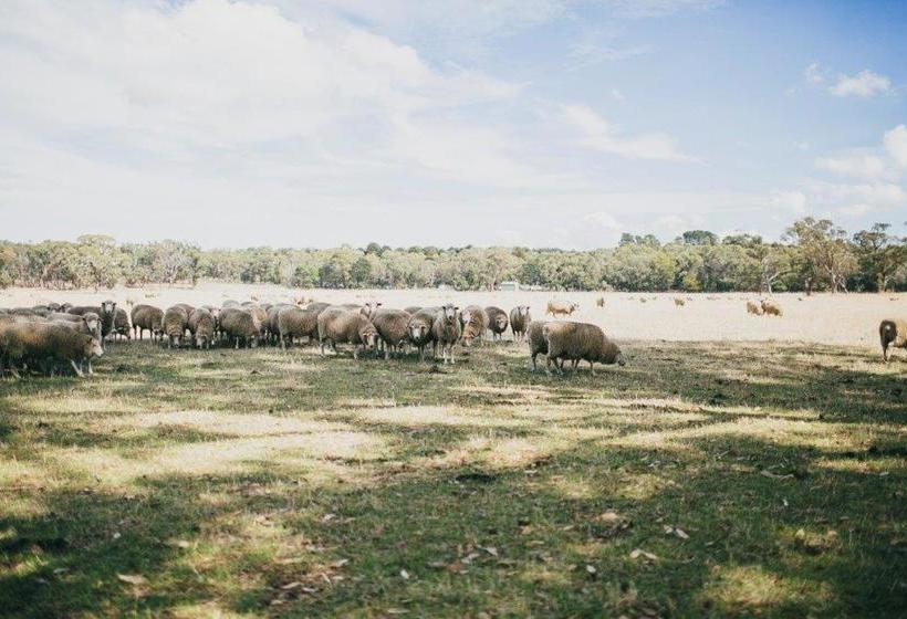 בית מלון כפרי The Cottage At Bolobek