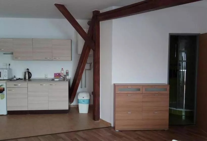 پانسیون Penzion První Liga