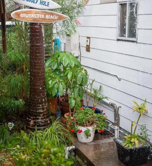 Общежитие Backpackers Newcastle