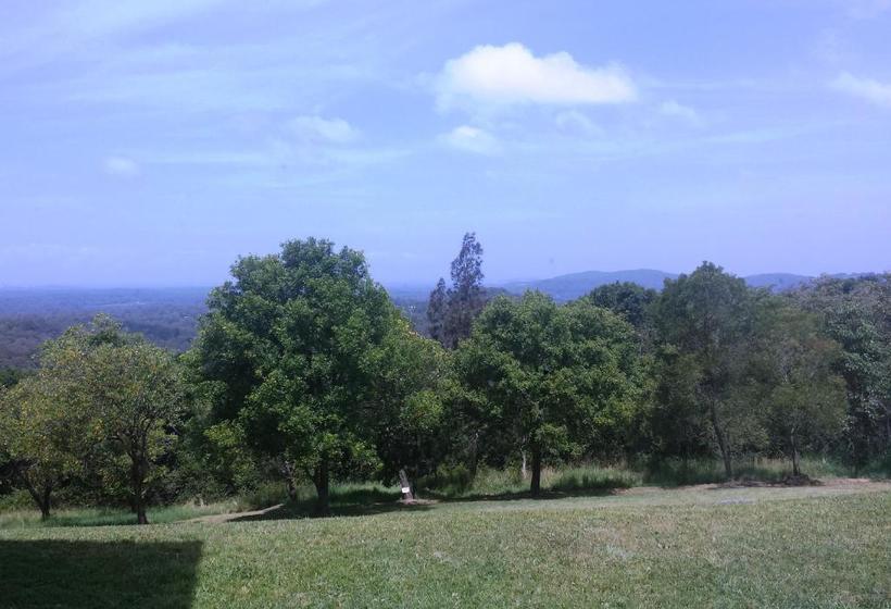 住宿加早餐 Alexandria Retreat