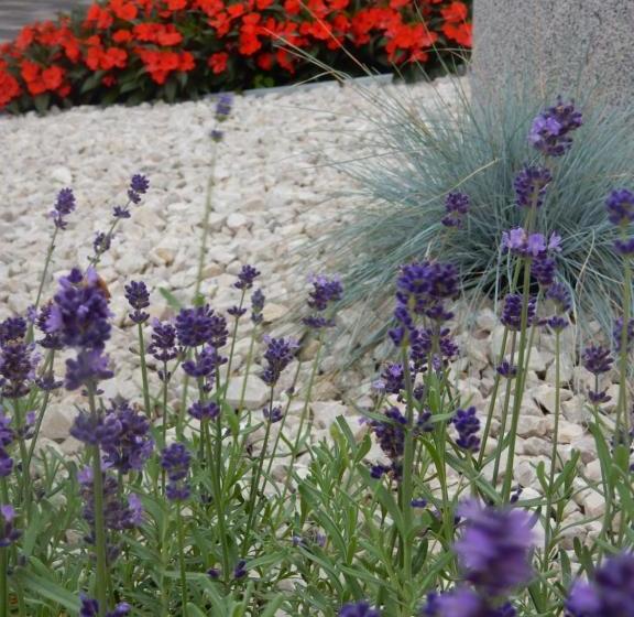 住宿加早餐  Frühstückspension Lach