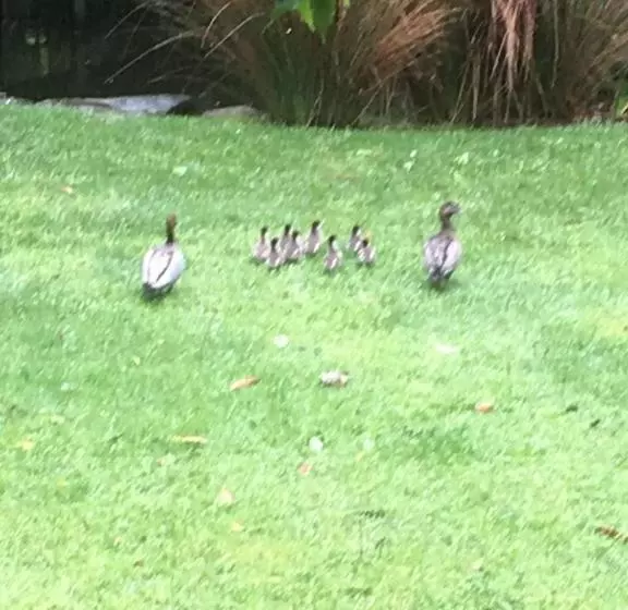 ベッドアンドブレックファースト Hilltop