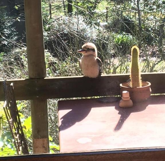 住宿加早餐 Hilltop