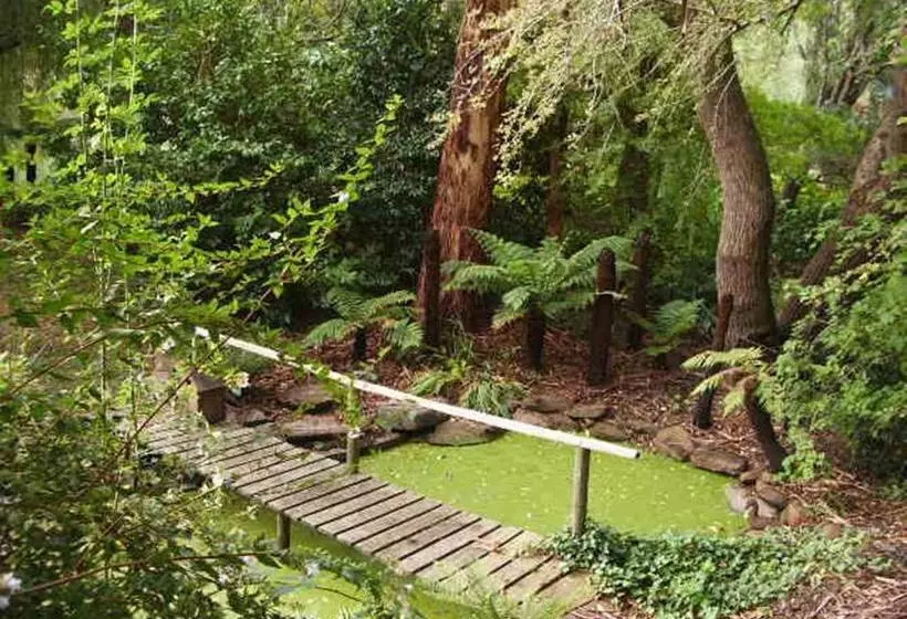 ベッドアンドブレックファースト Hilltop