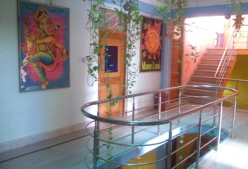 Отель Mama Luna