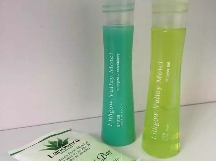 Lithgow Valley Motel