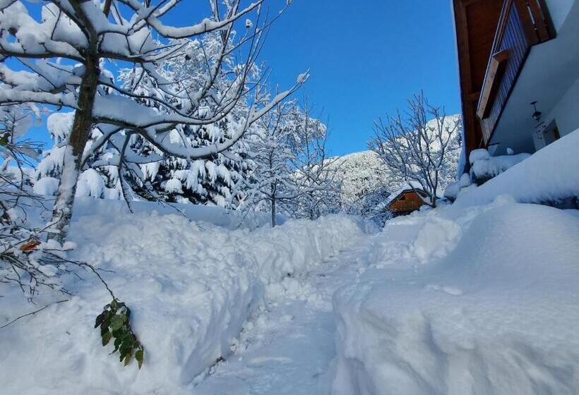 Pension Apartments And Rooms Martuljk