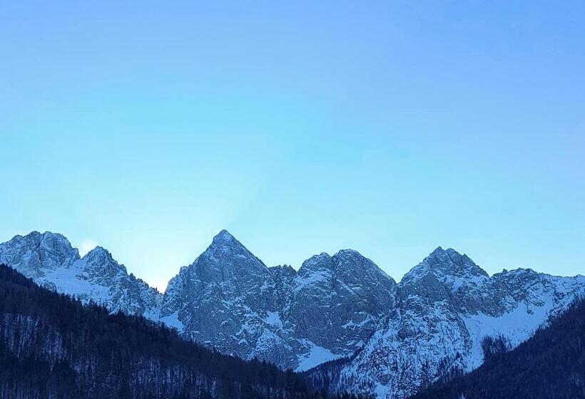 Pension Apartments And Rooms Martuljk