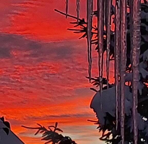 Pension Apartments And Rooms Martuljk