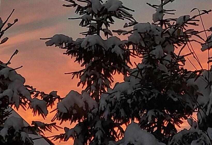 Pension Apartments And Rooms Martuljk