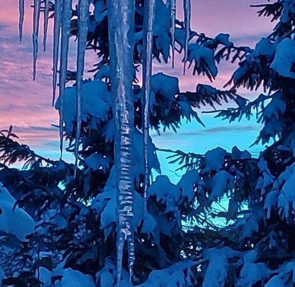 Pension Apartments And Rooms Martuljk