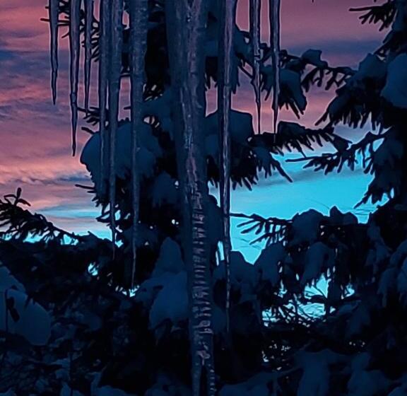 Pension Apartments And Rooms Martuljk