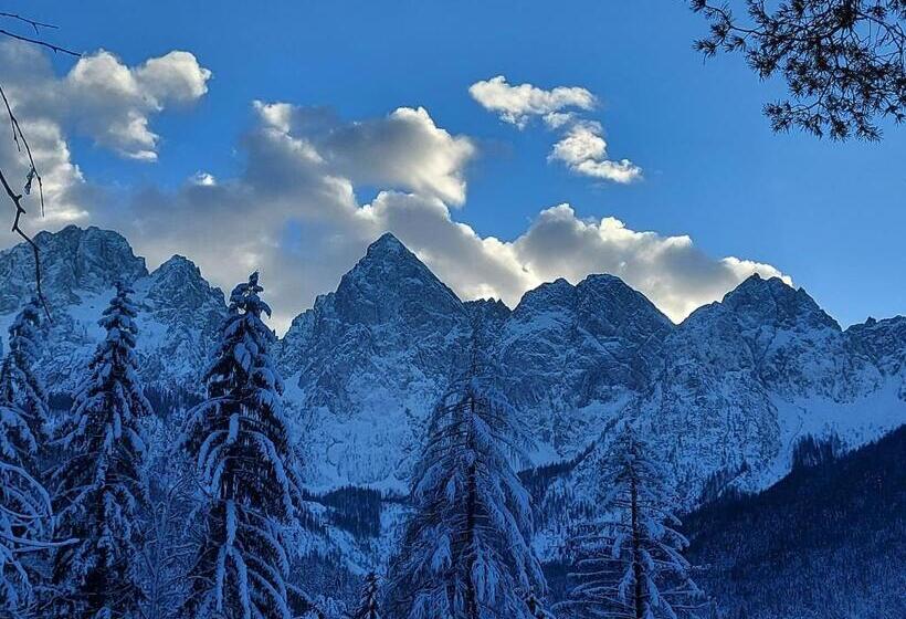 Pension Apartments And Rooms Martuljk