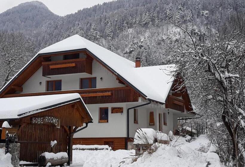 Pension Apartments And Rooms Martuljk