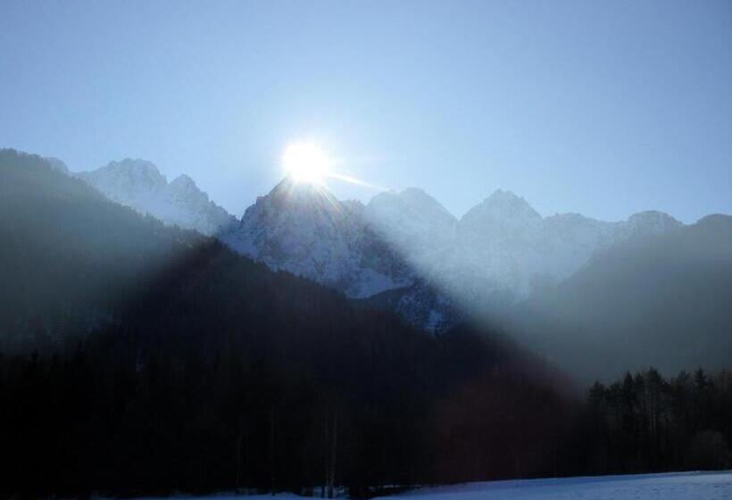 Pension Apartments And Rooms Martuljk