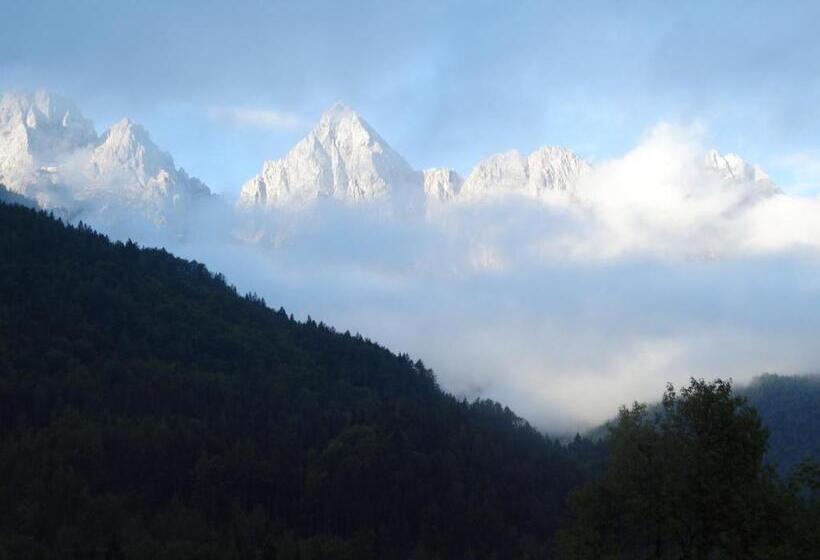 Pension Apartments And Rooms Martuljk