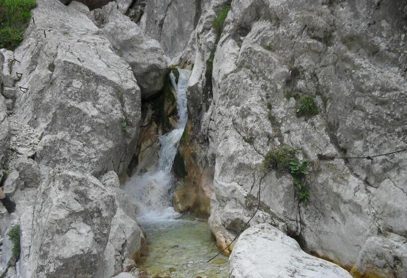 Pension Apartments And Rooms Martuljk