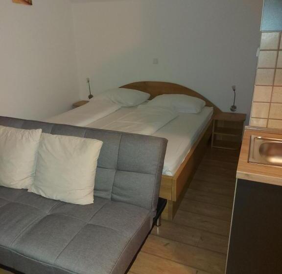 Pension Apartments And Rooms Martuljk