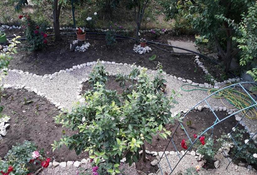 펜션 Camere De închiriat Doriana