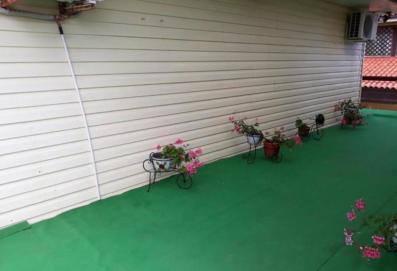 펜션 Camere De închiriat Doriana