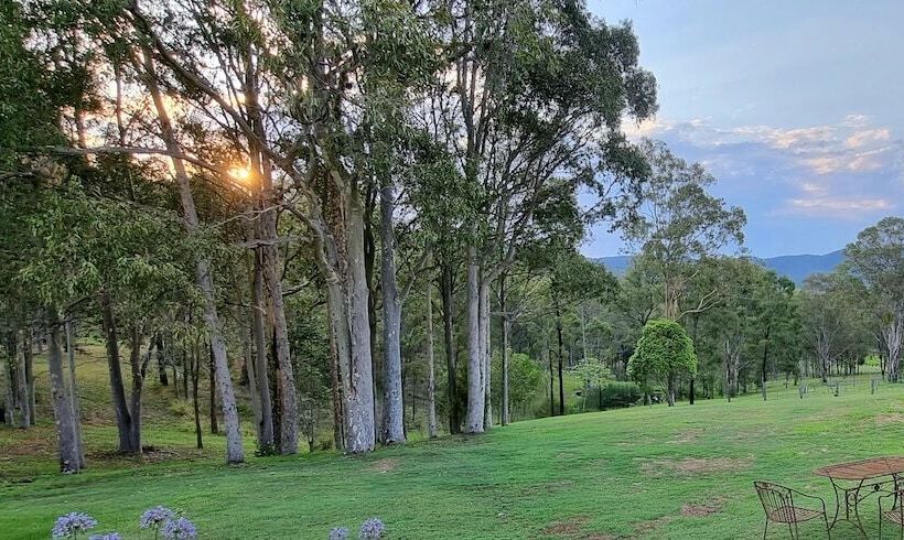 פנסיון Elfin Hill Vineyard Accommodation