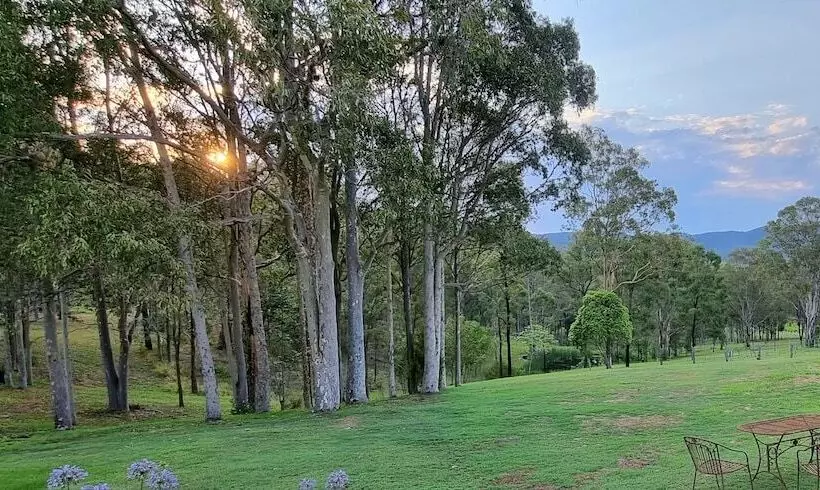 ペンション Elfin Hill Vineyard Accommodation