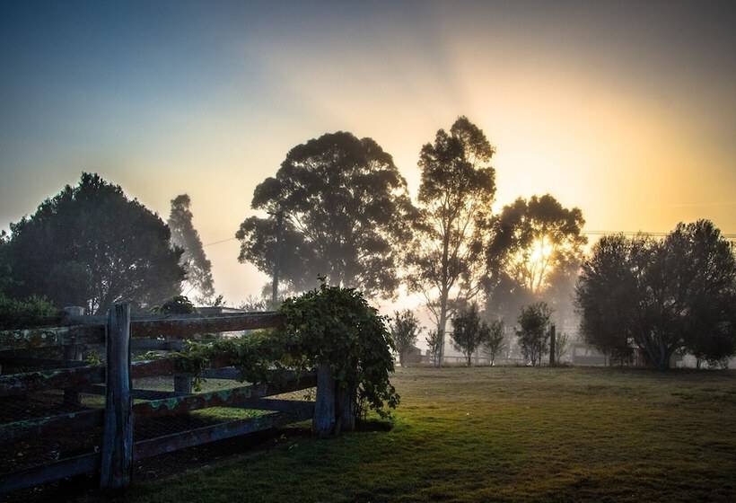 פנסיון Elfin Hill Vineyard Accommodation