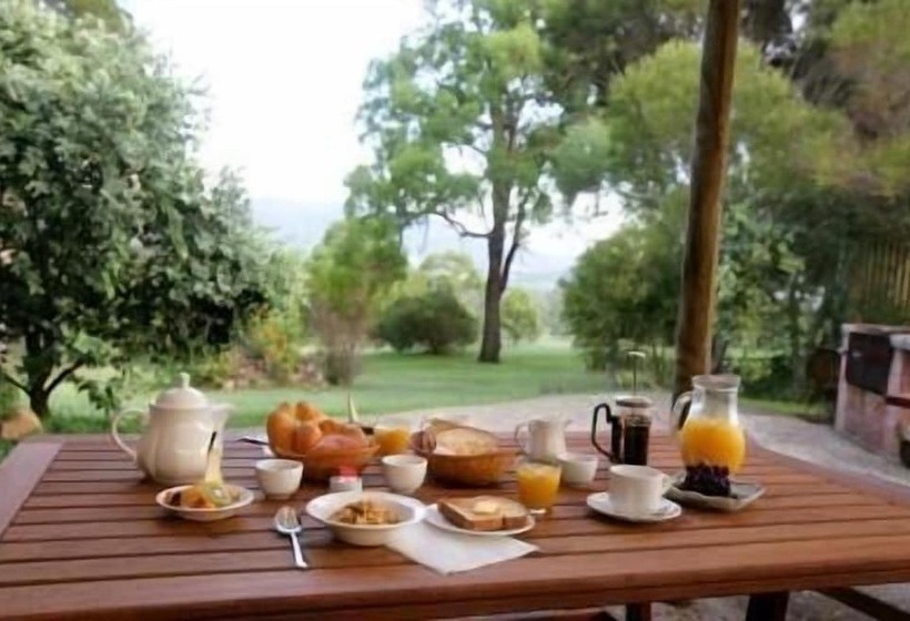 פנסיון Elfin Hill Vineyard Accommodation