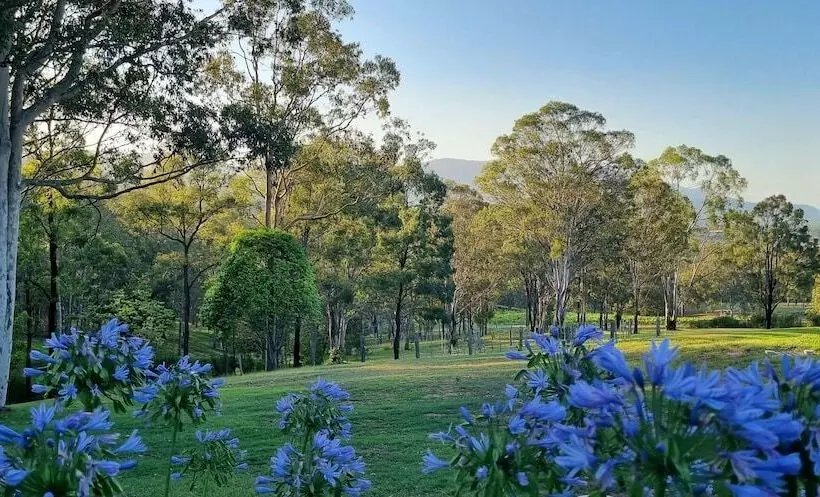 ペンション Elfin Hill Vineyard Accommodation