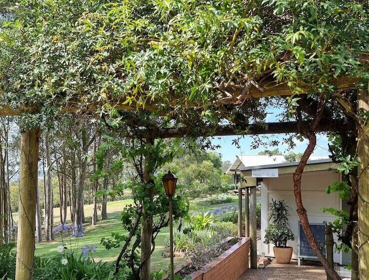 פנסיון Elfin Hill Vineyard Accommodation