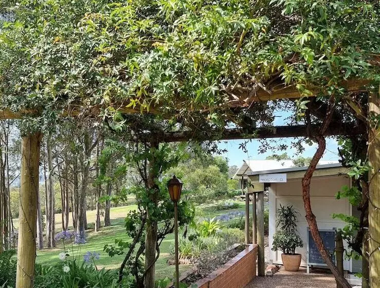 ペンション Elfin Hill Vineyard Accommodation