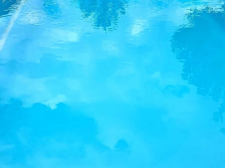 פנסיון Elfin Hill Vineyard Accommodation