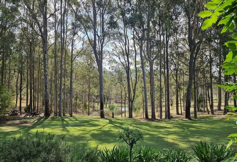 פנסיון Elfin Hill Vineyard Accommodation