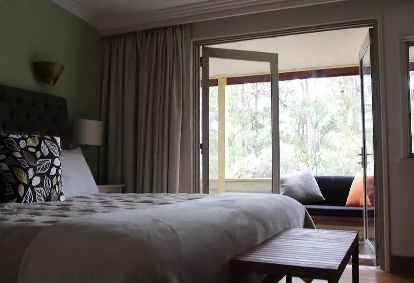 ペンション Elfin Hill Vineyard Accommodation