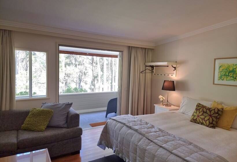 פנסיון Elfin Hill Vineyard Accommodation