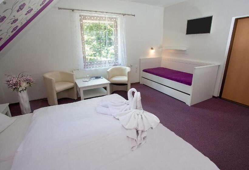 بنسيون Wellness Penzion Harmonie Rohanov