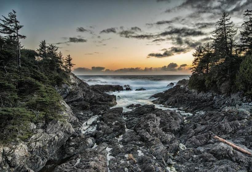 住宿加早餐  Wild Pacific Guest Suites