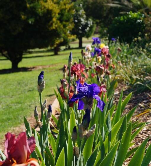 Eagles View Bed And Breakfast