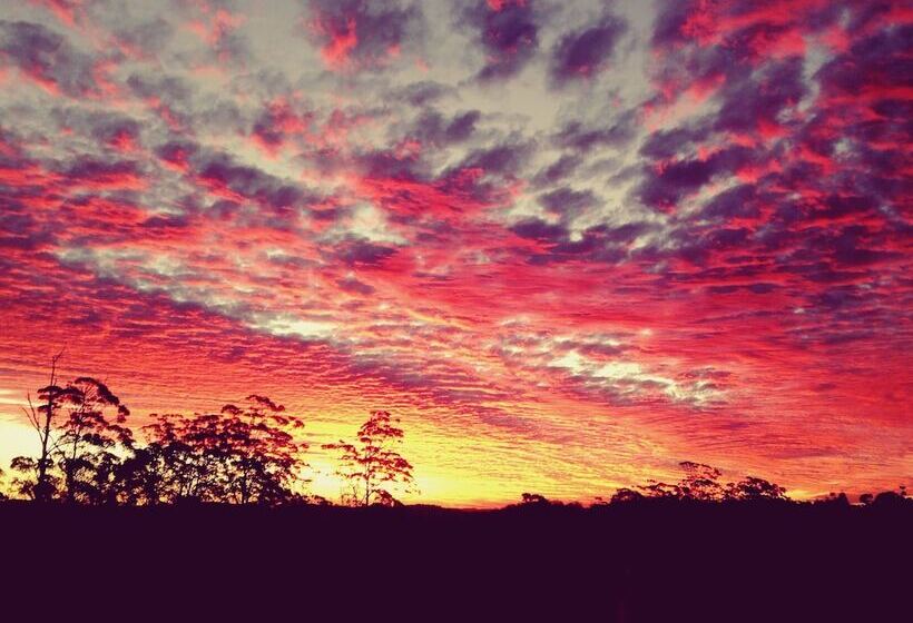 ベッドアンドブレックファースト The Spotted Chook