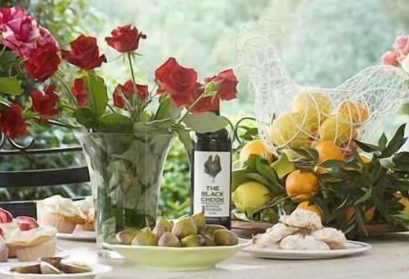 ベッドアンドブレックファースト The Spotted Chook