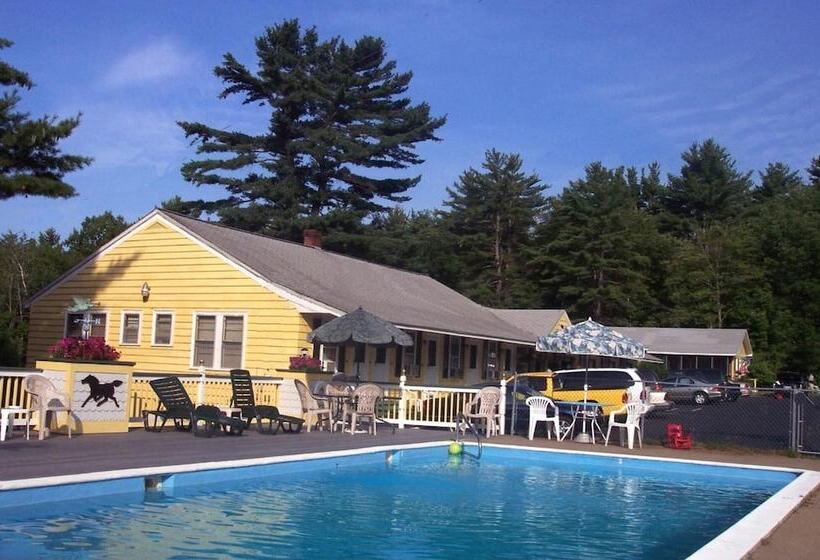Lake Winnipesaukee Motel